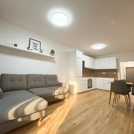 Brand New Family In Center With Garage & Mountain View 아파트 *