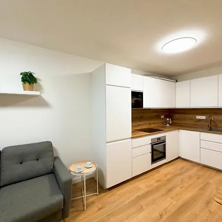 Brand New Family In Center With Garage & Mountain View