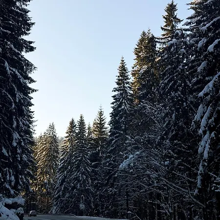 Brand New Family In Center With Garage & Mountain View Lägenhet Harrachov